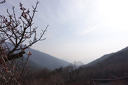 전남 구례여행-산수유마을과 연기암