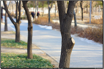 [a55] 2012.1.6 서울숲