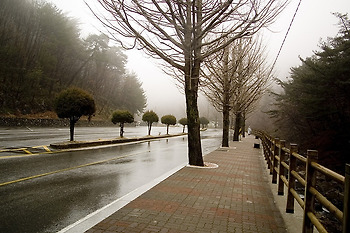 운무로 뒤덮힌 합천 해인사의 동양적인 풍경