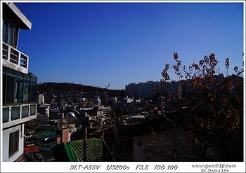 [a55] 2011.11.20 서울 성곽길(장충체육관~낙산공원)