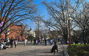 대학로, 무명 기예인의 공연을 보며...