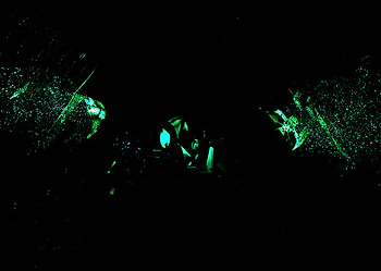 "단 한장" 이야기.