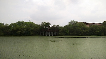 [경남 창원] 동양 최대의 철새도래지 주남저수지