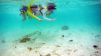 괌 여행후기 #5( 렌트 그리고 스노쿨링 )