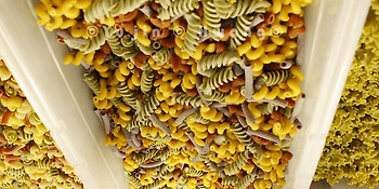 I am OUT...파스타 이름 알기는 난 관두고 싶어...ㅠㅠ