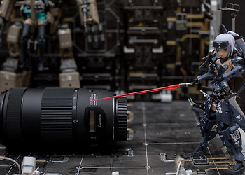 캐논 신형 망원줌렌즈 EF 70-300 F4~5.6 IS II 사용기 리뷰