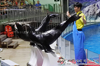 [국내여름휴가지추천/가족휴가지추천]서울대공원의 시원한 장소 Best3