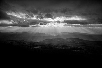 캐논의 신형 고급 광각렌즈 EF 16-35 2.8 L 3 체험기