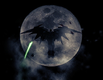 [800D 멘토링 체험단] DSLR의 기초 촬영 Tip 모음