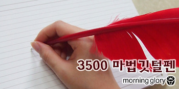 모닝글로리 3500 마법깃털펜