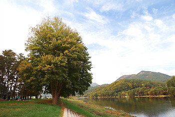 충북 영동 송호리 카라반 캠핑 후기~(1박2일)