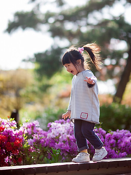 어벤져스 2 울트론 감상평 및 초심자를 위한 가이드