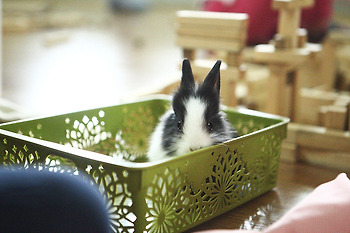 경북 상주시 속리산 사계절 캠핑장 후기~(1박2일)