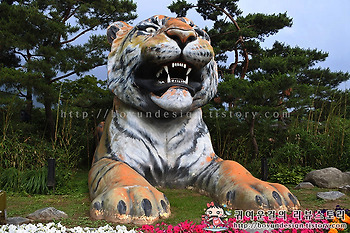 [과천 여행]서울동물원 야간개장 탐방! 한여름밤의 추억 가족여행추천지!