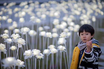아이사진과 블로그. 그 끝에 대하여.