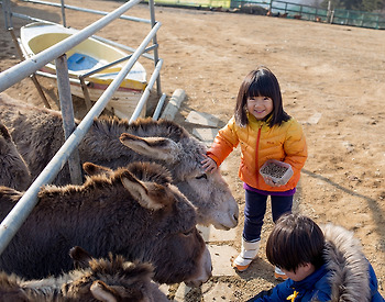 서브컬쳐의 상징중 하나인 코스프레의 변질