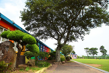 제주도 여행후기#3(여행 1일차)