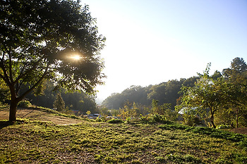 충남 공주 일월관광농원 캠핑장 후기~(1박2일)