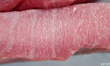 멕시코산 축양 참다랑어 회(참치 부위, 혼마구로)