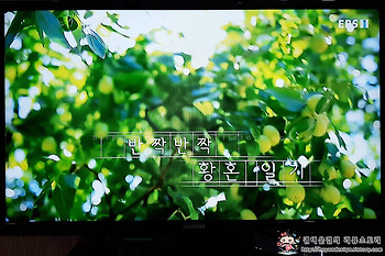 [EBS 다큐멘터리 프로그램]다큐시선! 반짝반짝 황혼 일기