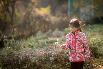 신제품 캐논 EF 85mm 1.4 L IS 렌즈 사용기