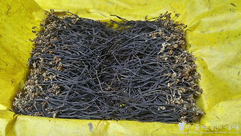 청와대로 보낸 고사리나물의 사연