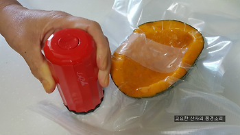이거 어때요? 식재료 오래 보관하는 미니 진공 포장기