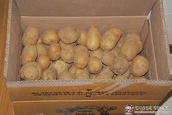 롯데홈쇼핑 국내산 햇감자 감동감자, 감자볶음 레시피