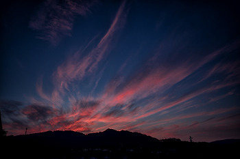 아도비 브릿지를 활용한 간단 사진 선별 및 관리 팁..