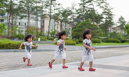 최고의 DSLR용 렌즈는 뭔가요? 에 대한 저의 답.