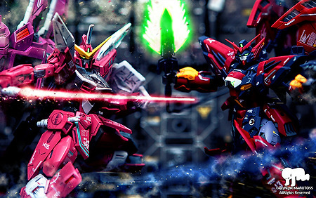 커뮤니티에서 카메라 장비 이야기는 쉽게 하지만 사진이야기는 어려운 이유