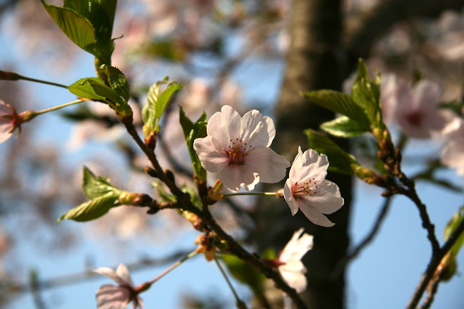 겨울과 봄 그리고 여름으로 가는 길목