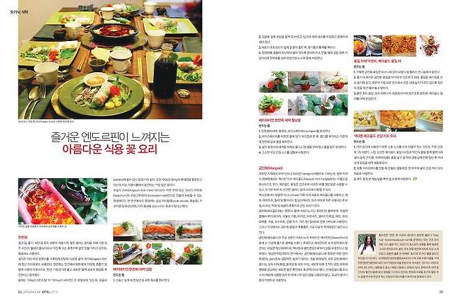 한련화와 메리골드 특집: 여성잡지 퀸(Queen)..