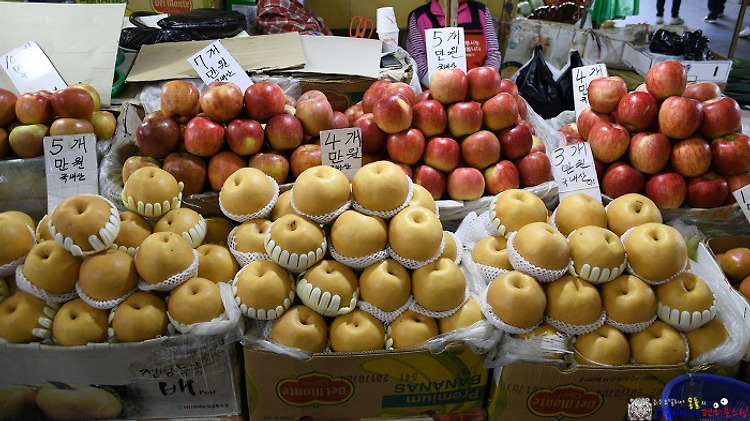 시장통 풍경 [홍제동 유진상가와 인왕시장]