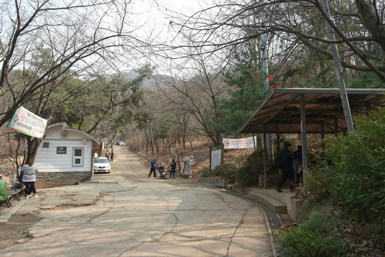 [2019.03.19] 남한산성 봄꽃 확인하러...