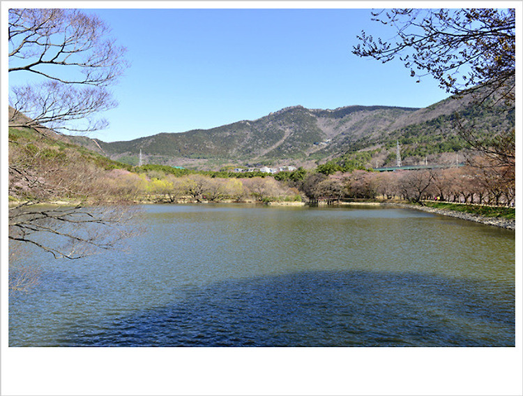 진해 내수면 생태공원과 경화 역...♥♡♥